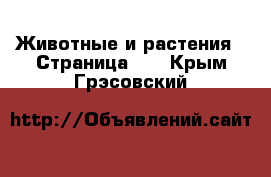  Животные и растения - Страница 35 . Крым,Грэсовский